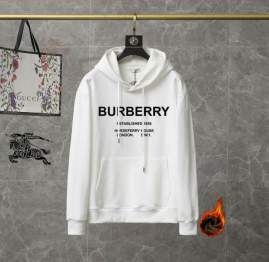 Picture of Burberry Hoodies _SKUBurberryM-3XL25tr1001721